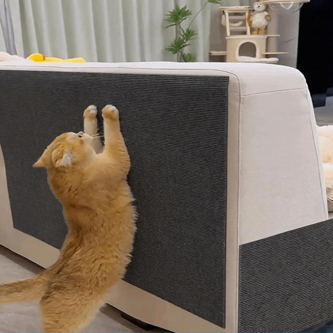 Rascador Gato Protector Sofa Sillón